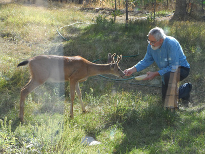 Kurt--feeding-deer-3-012